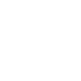 Bayer-Logo-White[1]